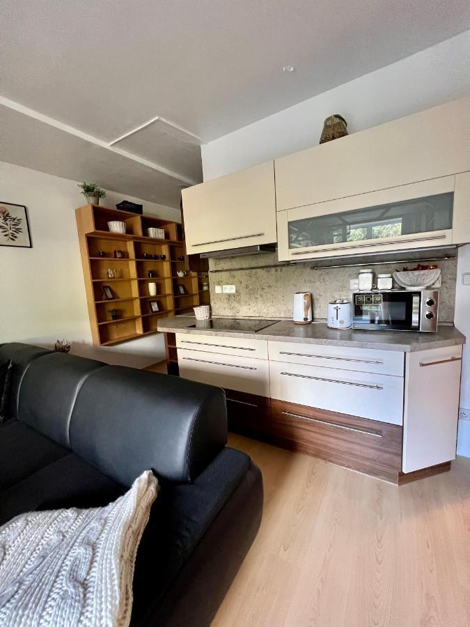 Apartmán Apartmán Labská 21 ve Špindlerově Mlýně Špindlerŭv Mlýn Exteriér fotografie